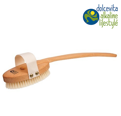 Bath brush with removable handle