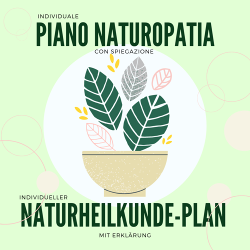 Individual naturopathy plan and explanation